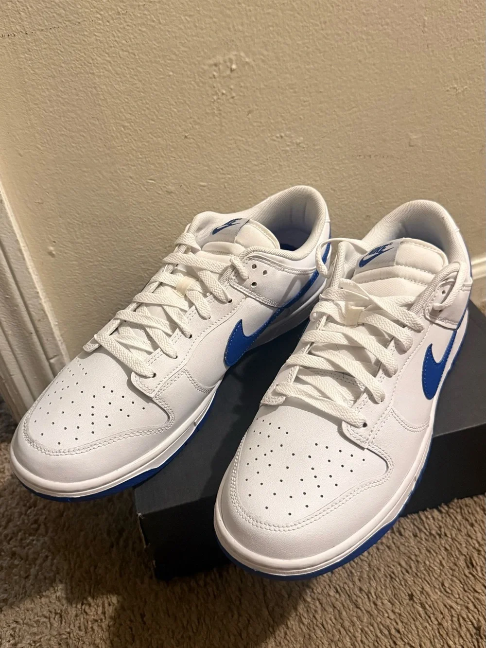 Nike White and Blue Low-Top Athletic Sneakers